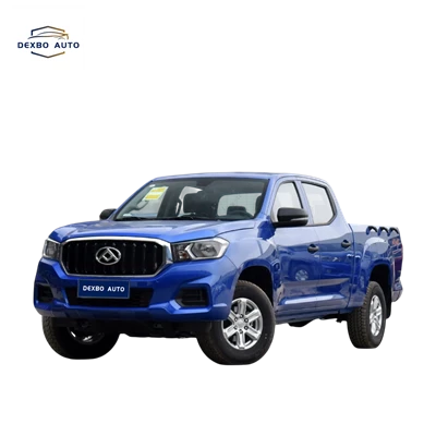 Maxus T60 استفاده شده است